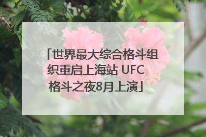 世界最大综合格斗组织重启上海站 UFC格斗之夜8月上演