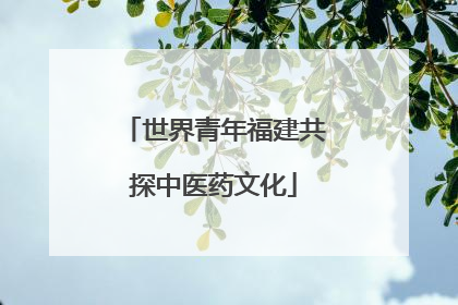 世界青年福建共探中医药文化