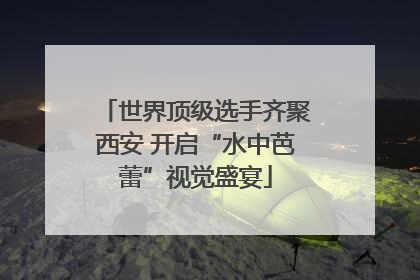 世界顶级选手齐聚西安 开启“水中芭蕾”视觉盛宴