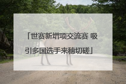 世赛新增项交流赛 吸引多国选手来穗切磋