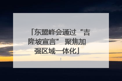 东盟峰会通过“吉隆坡宣言” 聚焦加强区域一体化