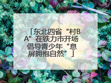 东北四省“村BA”在铁力市开场 倡导青少年“息屏拥抱自然”