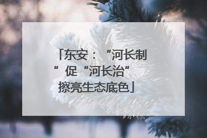 东安：“河长制”促“河长治” 擦亮生态底色