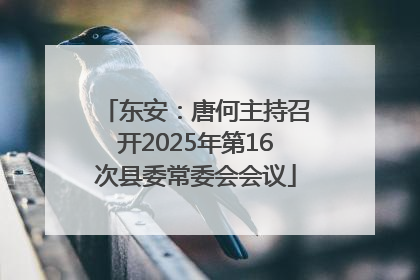 东安：唐何主持召开2025年第16次县委常委会会议