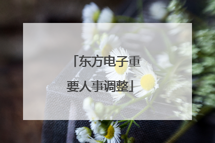 东方电子重要人事调整