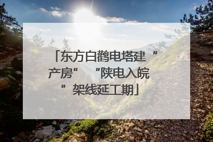 东方白鹳电塔建“产房” “陕电入皖”架线延工期