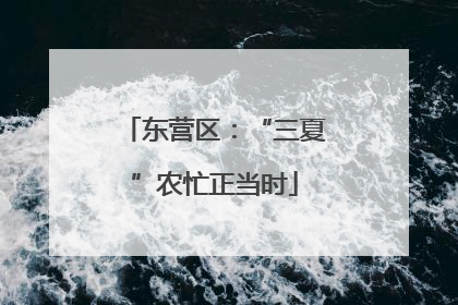 东营区：“三夏”农忙正当时