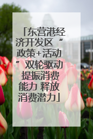 东营港经济开发区“政策+活动”双轮驱动 提振消费能力 释放消费潜力
