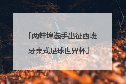 两蚌埠选手出征西班牙桌式足球世界杯