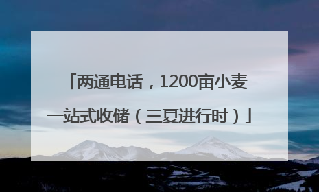 两通电话，1200亩小麦一站式收储（三夏进行时）