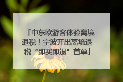中东欧游客体验离境退税！宁波开出离境退税“即买即退”首单