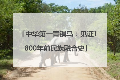 中华第一青铜马：见证1800年前民族融合史