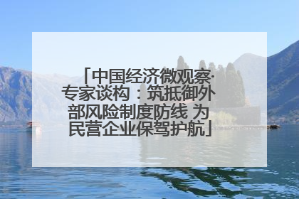 中国经济微观察·专家谈构：筑抵御外部风险制度防线 为民营企业保驾护航