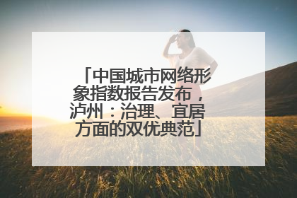 中国城市网络形象指数报告发布，泸州：治理、宜居方面的双优典范