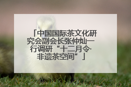 中国国际茶文化研究会副会长张仲灿一行调研“十二月令·非遗茶空间”