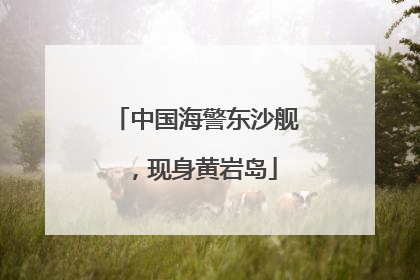 中国海警东沙舰，现身黄岩岛