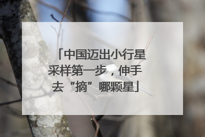 中国迈出小行星采样第一步，伸手去“摘”哪颗星