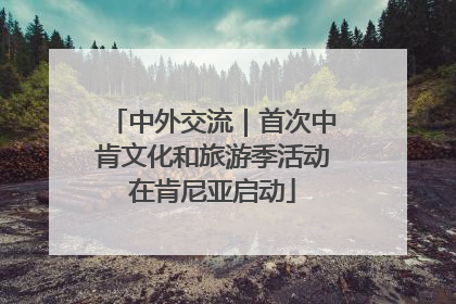 中外交流｜首次中肯文化和旅游季活动在肯尼亚启动