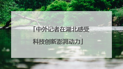 中外记者在湖北感受科技创新澎湃动力