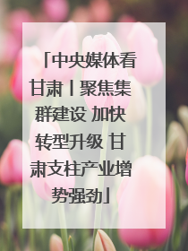 中央媒体看甘肃丨聚焦集群建设 加快转型升级 甘肃支柱产业增势强劲