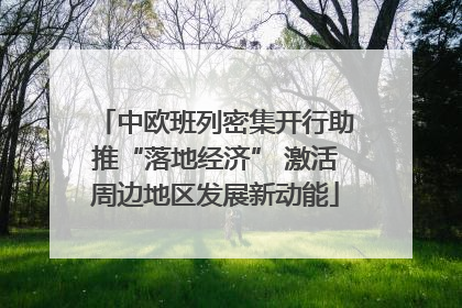 中欧班列密集开行助推“落地经济” 激活周边地区发展新动能