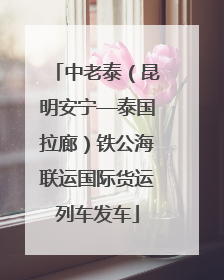 中老泰（昆明安宁—泰国拉廊）铁公海联运国际货运列车发车