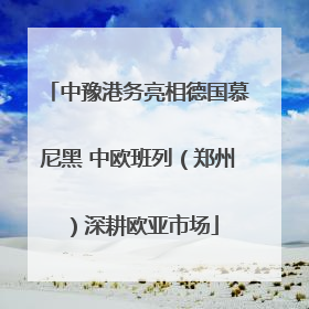 中豫港务亮相德国慕尼黑 中欧班列（郑州）深耕欧亚市场