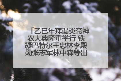 乙巳年拜谒炎帝神农大典隆重举行 铁凝巴特尔王忠林李殿勋张志军林中森等出席 孙伟主持