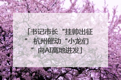书记市长“挂帅出征” 杭州催动“小龙们”向AI高地进发