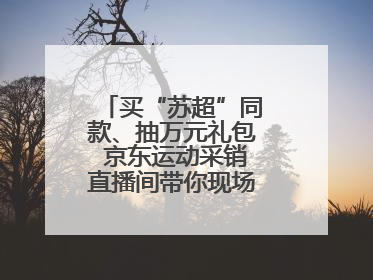 买“苏超”同款、抽万元礼包 京东运动采销直播间带你现场沉浸式看球赛