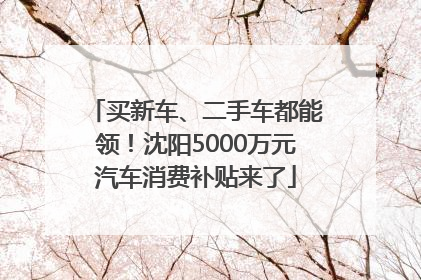 买新车、二手车都能领！沈阳5000万元汽车消费补贴来了