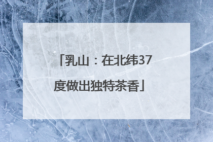 乳山：在北纬37度做出独特茶香
