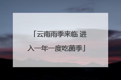 云南雨季来临 进入一年一度吃菌季