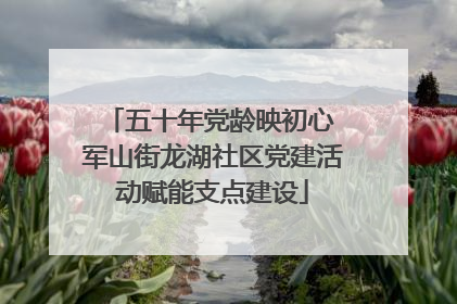 五十年党龄映初心 军山街龙湖社区党建活动赋能支点建设