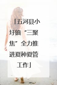 五河县小圩镇“三聚焦”全力推进夏种夏管工作