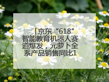京东“618”智能教育机器人赛道爆发，元萝卜全系产品销售同比171%成黑马