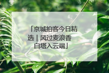 京城拍客今日精选｜风过麦浪香 白塔入云端