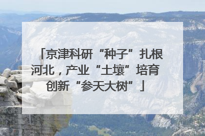京津科研“种子”扎根河北，产业“土壤”培育创新“参天大树”