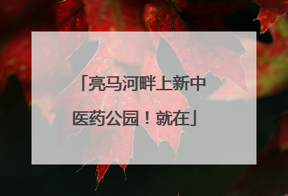 亮马河畔上新中医药公园！就在