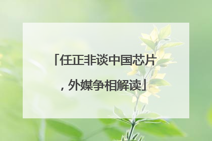 任正非谈中国芯片，外媒争相解读