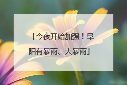 今夜开始加强！阜阳有暴雨、大暴雨