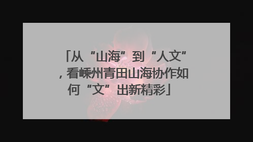 从“山海”到“人文”，看嵊州青田山海协作如何“文”出新精彩