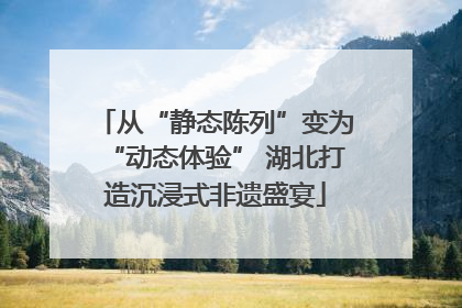 从“静态陈列”变为“动态体验” 湖北打造沉浸式非遗盛宴
