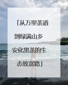 从万里茶道到绿满山乡 安化黑茶的生态致富路