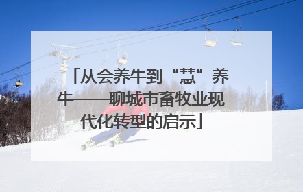 从会养牛到“慧”养牛——聊城市畜牧业现代化转型的启示