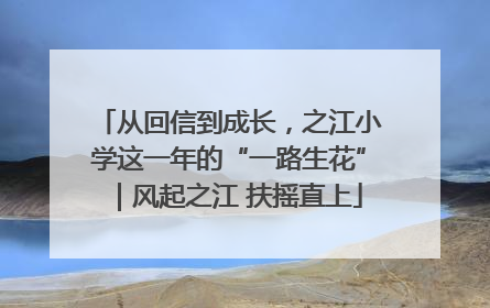 从回信到成长，之江小学这一年的“一路生花”｜风起之江 扶摇直上