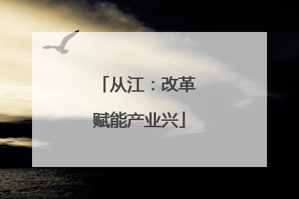 从江：改革赋能产业兴