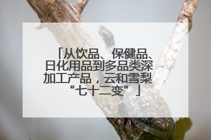 从饮品、保健品、日化用品到多品类深加工产品，云和雪梨“七十二变”