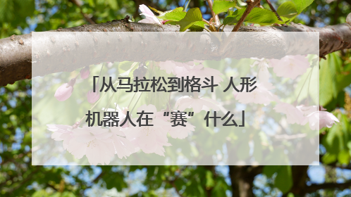 从马拉松到格斗 人形机器人在“赛”什么