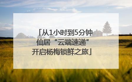 从1小时到5分钟 仙居“云端速递”开启杨梅锁鲜之旅